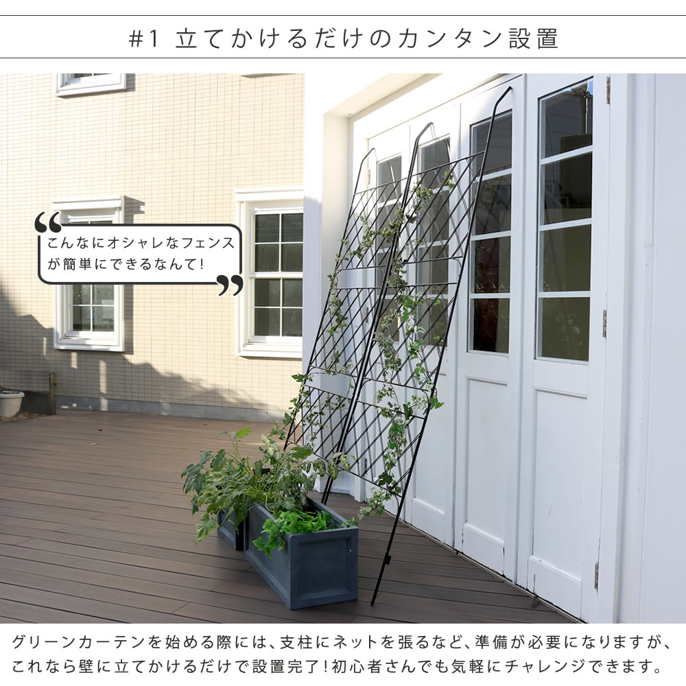 楽天市場 アイアン製グリーンカーテン アーガイル 2枚組 フェンス アイアン グリーンフェンス ゴーヤ 薔薇 バラ 朝顔 庭 ベランダ ガーデニング 枠 柵 仕切り 目隠し 境目 アンティーク トレリス 園芸 ラティス 屋外 ガーデン Diyインテリアのお店 Colorspro