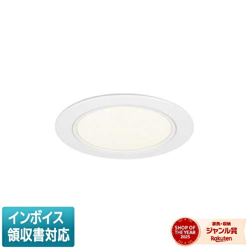 お似付かわしいなLED白熱電球が入荷しました！