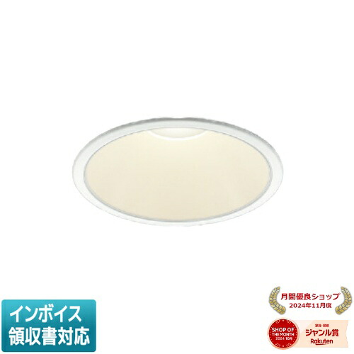 [法人限定] AD52974 コイズミ KOIZUMI ダウンライト LED Φ150 電球色 FHT42W相当 [ AD52974 ]
