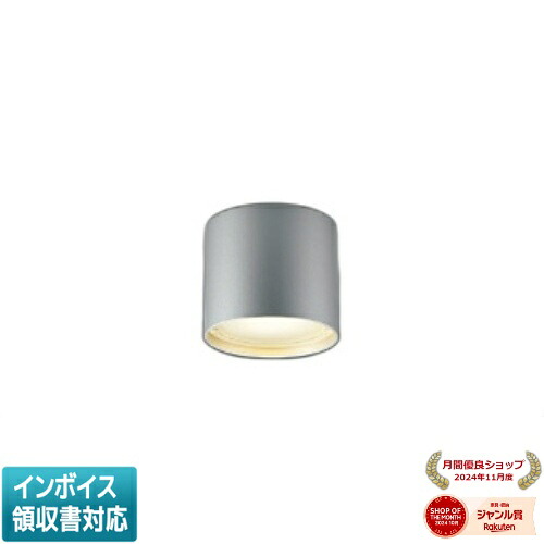 [法人限定] AU54779 コイズミ KOIZUMI 防雨防湿型シーリング 白熱球100W相当 非調光 電球色 防雨・防湿型 [ AU54779 ]