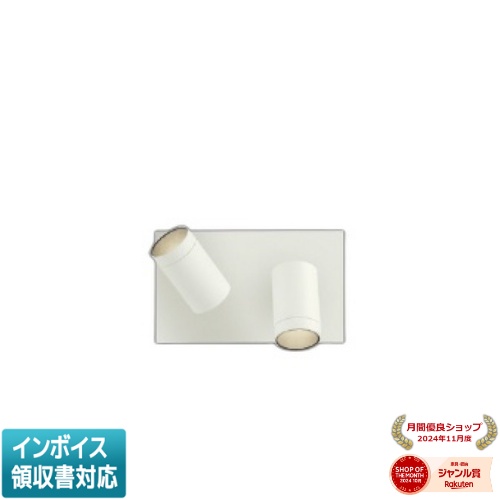 ▲納期未定[法人限定] AB54811 コイズミ KOIZUMI ブラケット 白熱球100W&times;2灯相当 位相調光 温白色 [ AB54811 ]｜照明専門店ライトエキスパート