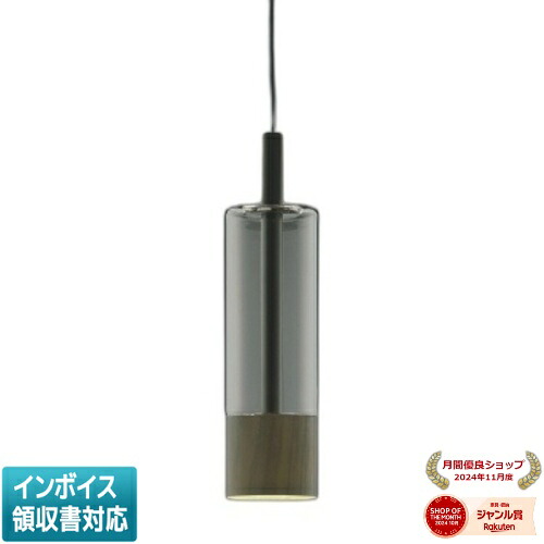 [法人限定] AP57309 コイズミ KOIZUMI ペンダント 白熱球60W相当 非調光 温白色 [ AP57309 ]