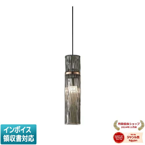 [法人限定] AP54909 コイズミ KOIZUMI ペンダント 白熱球60W相当 非調光 温白色 [ AP54909 ]