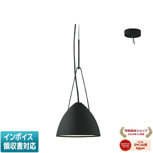 [法人限定] AP54943 コイズミ KOIZUMI ペンダント 白熱球60W相当 非調光 温白色 [ AP54943 ]