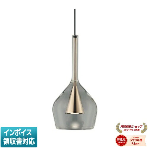 [法人限定] AP54867 コイズミ KOIZUMI ペンダント 白熱球60W相当 非調光 電球色 [ AP54867 ]
