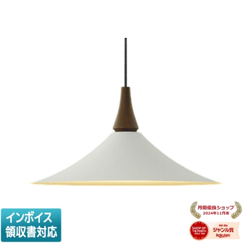 ▲納期未定[法人限定] AP54859 コイズミ KOIZUMI ペンダント 白熱球100W相当 非調光 電球色 [ AP54859 ]｜照明専門店ライトエキスパート