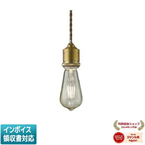 [法人限定] AP49030L コイズミ KOIZUMI ペンダント 白熱球40W相当 非調光 電球色 [ AP49030L ]