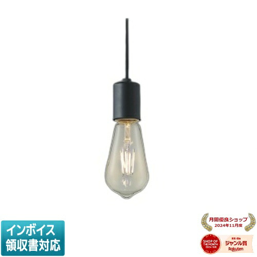 [法人限定] AP49031L コイズミ KOIZUMI ペンダント 白熱球40W相当 非調光 電球色 [ AP49031L ]
