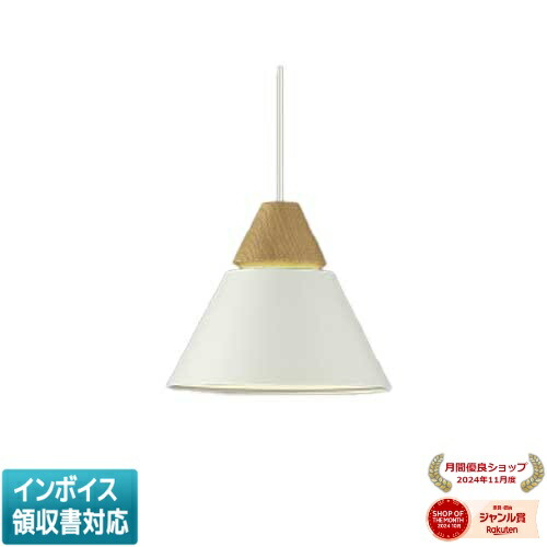 [法人限定] AP45523L コイズミ KOIZUMI ペンダント 白熱球60W相当 非調光 電球色 [ AP45523L ]