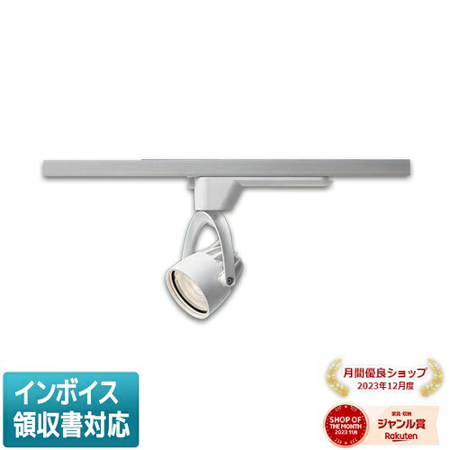 お似つかわしいなLED白熱電球が入荷しました！ ライト・照明器具-天井照明