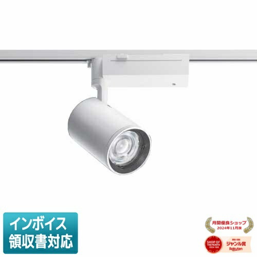 [法人限定] NTS05513W RZ1 パナソニック ※受注品 配線ダクト取付型 電球色 スポットライト 配光調整機能付 調光 PiPit調光 [ NTS05513WRZ1 ]