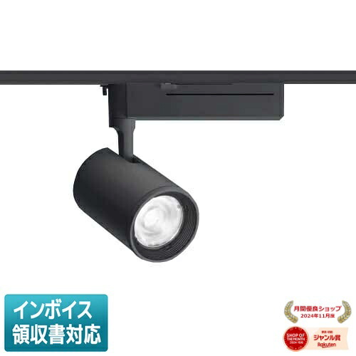 [法人限定] NTS02590B RK1 パナソニック ※受注品 配線ダクト取付型 昼光色～電球色 スポットライト 調光 配光調整機能付 [ NTS02590BRK1 ]