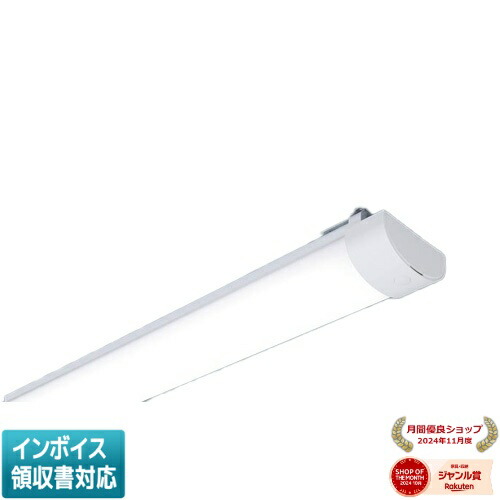 パナソニック NNW4510ENZ NNW4610ENZ ライトバー 2点セット Panasonic（パナソニック） ポイント2倍 NNW4510ENZ LE9 40形 ライト