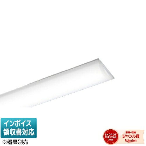 [法人限定] NEL4205GL LE9 パナソニック ※受注品 40形 ライトバーのみ【器具別売】(非常用)Hf蛍光灯32形定格出力型1灯器具相当 Hf32形定格出力型・2500 lm [ NEL4205GLLE9 ]