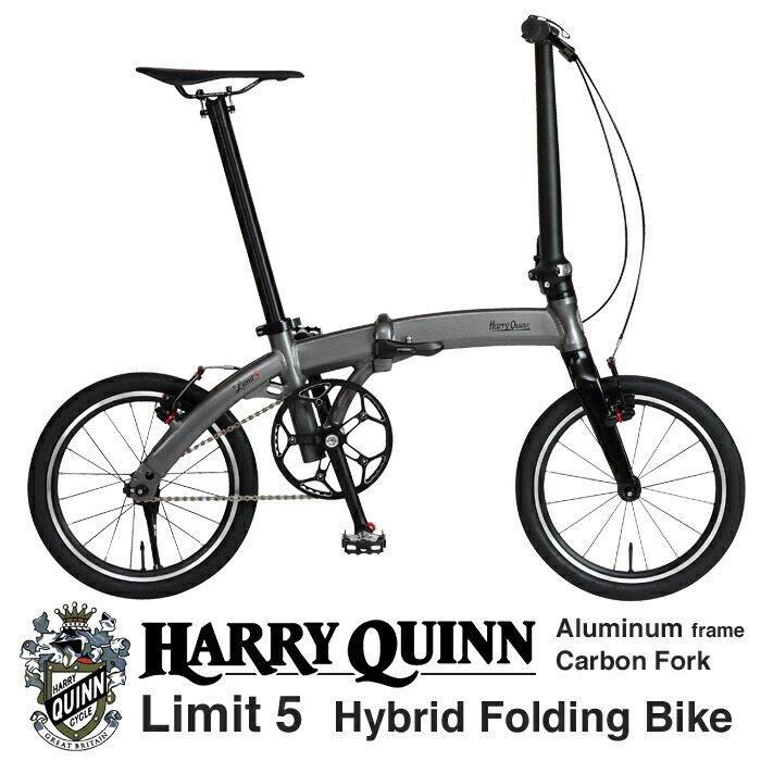 2月6日入荷予定 Harry Quinn Liverpool163E用 リアキャリア