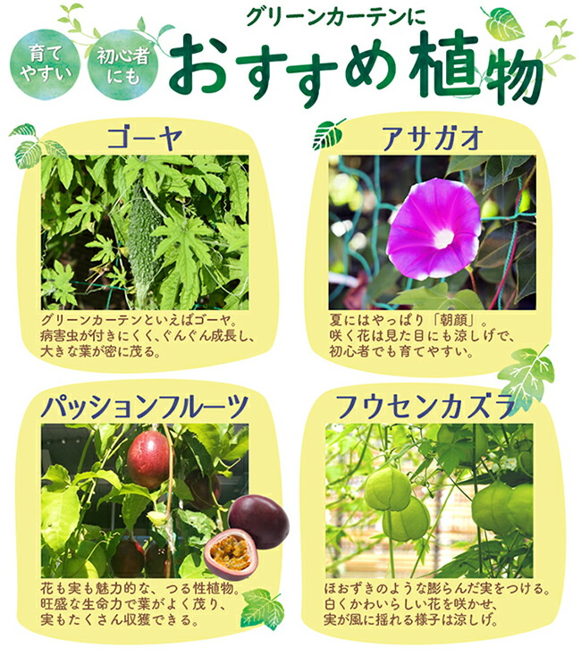 ロール巻つるものネット 緑 100 目 ガーデニング 園芸 農具 農業 工具 道具 金星 キンボシ Kanal9tv Com ロール巻つるものネット 緑 100 目 ガーデニング 園芸 農具 農業 工具 道具 金星 キンボシ Kanal9tv Com