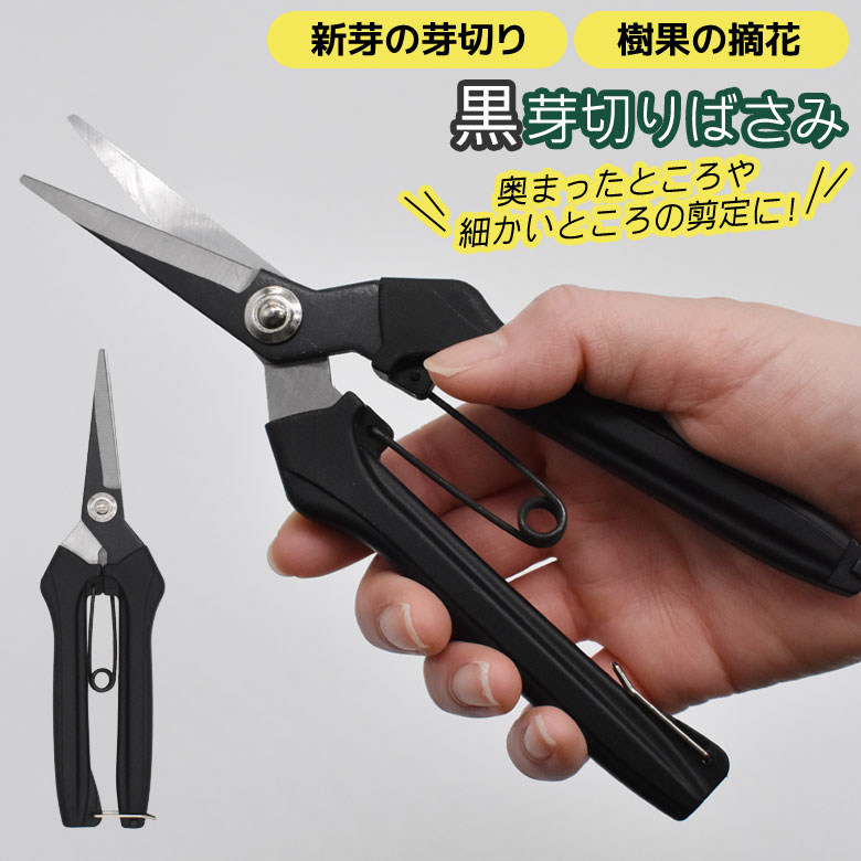 楽天市場】【メール便】【紅白芽切鋏】 芽切りばさみ 芽切ばさみ 芽切