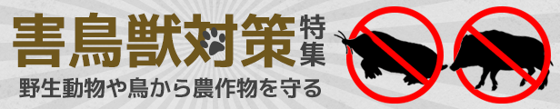 楽天市場】スパイラルボーラー 取替式 SB-075-R 穴掘り器 穴掘り機 道具 穴掘り器具 縦穴 暗渠 暗渠排水 diy 園芸用 園芸 簡単 杭 畑  農業 東亜インターシステム : ライト ワクイショップ