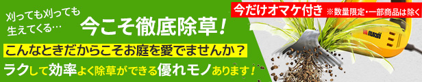 楽天市場】スパイラルボーラー 取替式 SB-075-R 穴掘り器 穴掘り機 道具 穴掘り器具 縦穴 暗渠 暗渠排水 diy 園芸用 園芸 簡単 杭 畑  農業 東亜インターシステム : ライト ワクイショップ