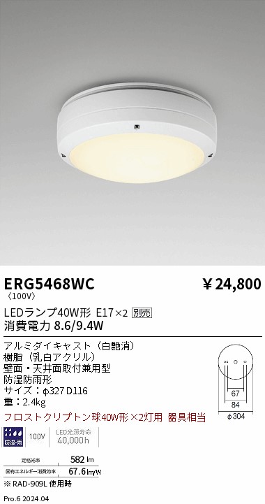 【15,000円～送料無料※】遠藤照明 アウトドアシーリングライト／２灯用／白 ERG5468WC (※北海道・沖縄・離島を除く)｜ライトアロイ