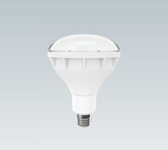 RAD588N 昼白色(5000K) LEDランプ・ユニット ENDO 遠藤照明　エンドウ　【3980円以上(税込)で送料無料】