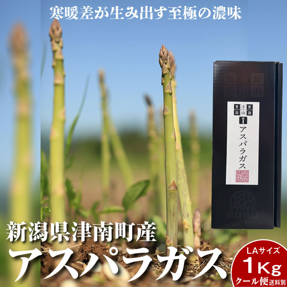 【楽天市場】新鮮 直送!【終了間近】グリーン アスパラガス LA 1kg 産地直送 新潟県 津南産 アスパラ（日にち指定不可）【産地直送のため