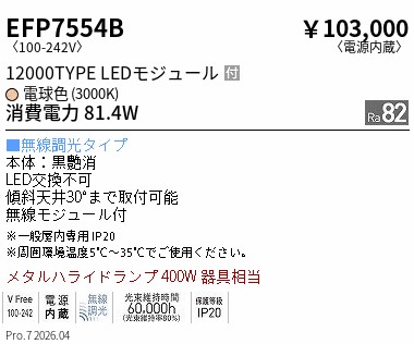 EFP7554B ENDO照明装置 遠藤照明 【製造会社直送】 単色合い光＿テクニカルペンダント＿１２０００ＴＴＹＰＥ＿３００