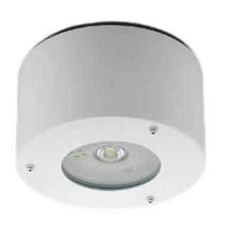 KOIZUMI コイズミ照明 LED防雨・防湿型非常灯 AR50454Y｜ライトウェル　店
