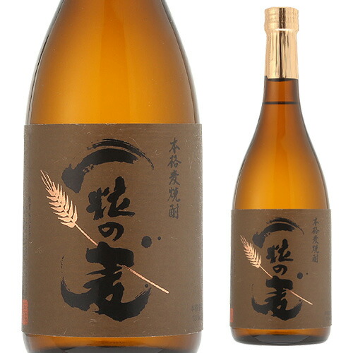 焙り焦がし麦 真政 焼酎 12本入り 焙り焦がし麦 真政 【令和7年度熊本国税局 優等賞 受賞
