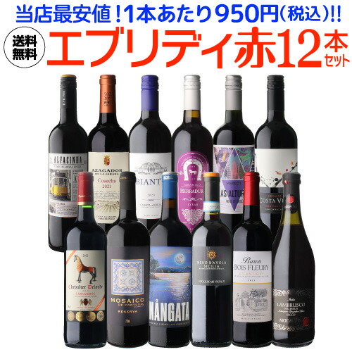 1本あたり950円(税込) 送料無料 エブリデー赤ワイン12本セット 23弾 ワインセット 赤 辛口 赤泡 フランス イタリア スペイン チリ 浜運A