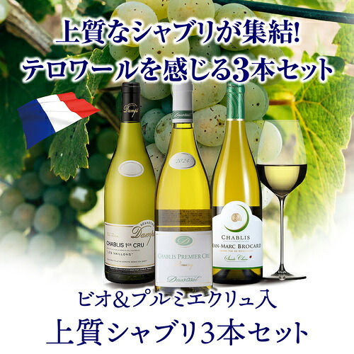ワインセット ビオ＆プルミエクリュ入　上質シャブリ 3本セット 5弾 750ml 浜運【送料無料】 お歳暮 御歳暮