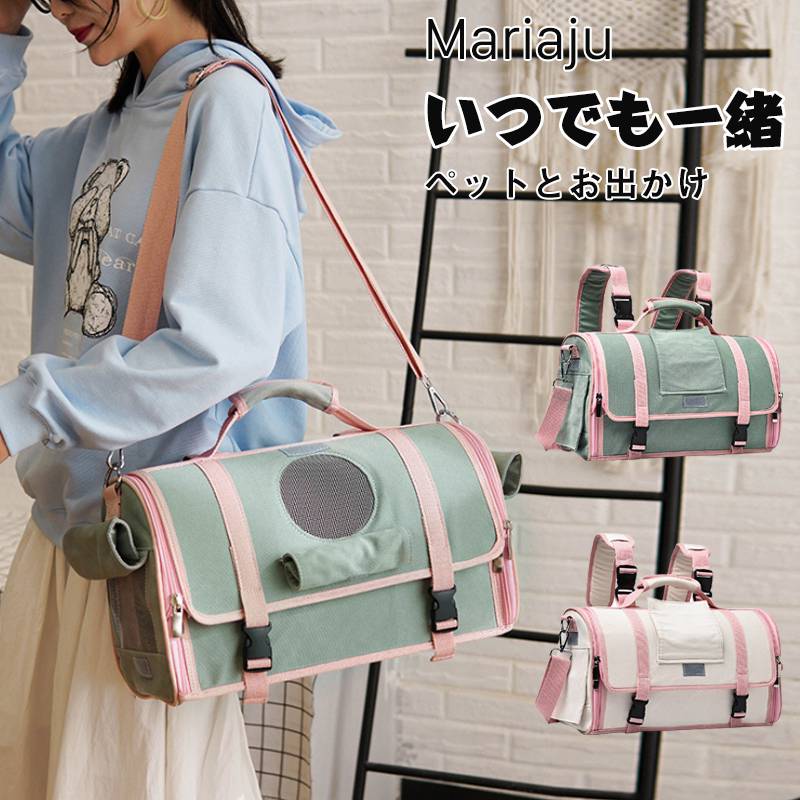 楽天市場】【フェレット キャリー】フェレット お出掛け ふぇれっと