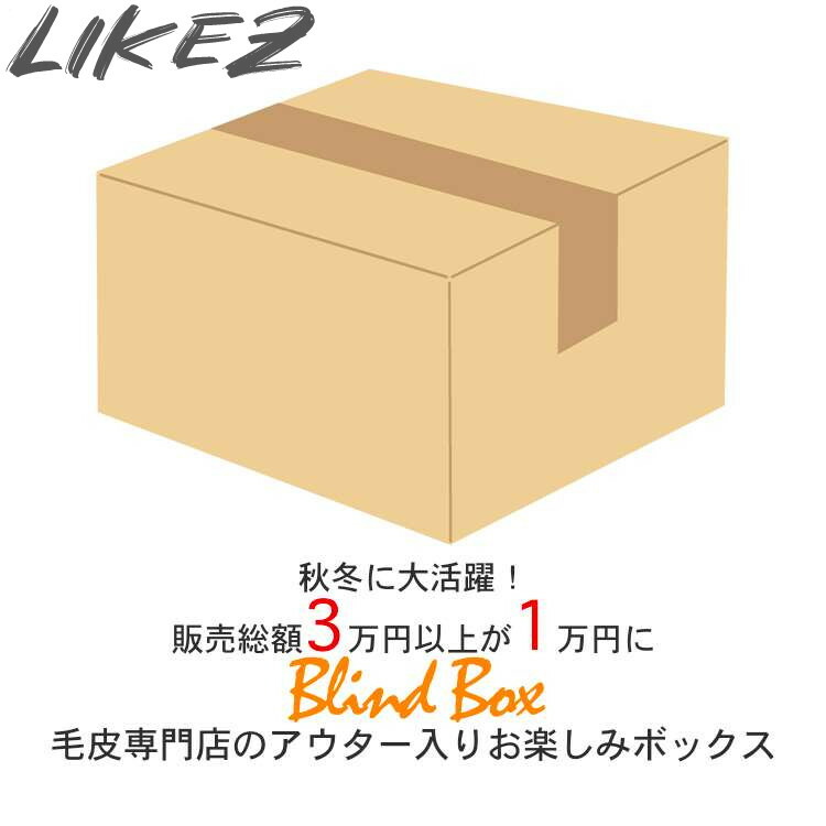 【今月特価】【レディース福袋】【返品取り替えっこ不可】3万円以上好いかげんにが1万円! 超お得なレディース アウター 小物  書き割り商いもの M/L/2L/3L blindbox1