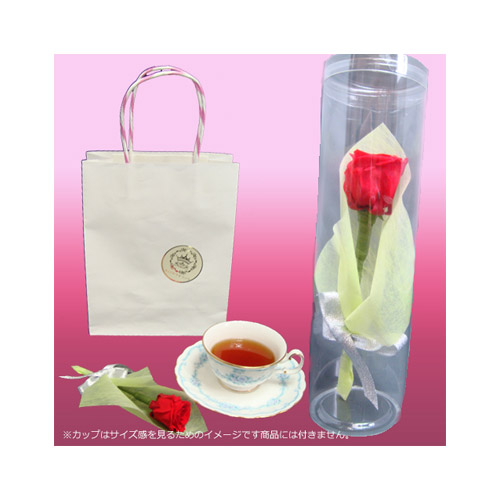 すべての美しい花の画像 Hd限定花1輪