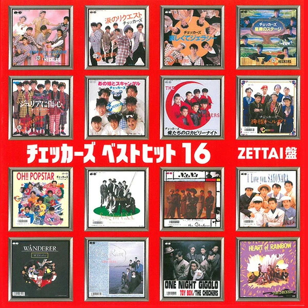 藤井フミヤ THE CHECKERS ツアーパンフレット他 14冊 チェッカーズ 1988ツアーパンフ【 SCREW 】 THE CHECKERS 藤井