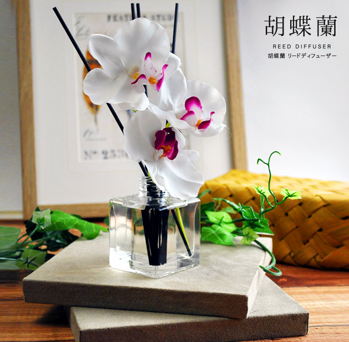 柔らかな質感の 母の日 ディフューザー スティック 花 誕生日プレゼント 女友達 女性 おしゃれ 送料無料 Portebonheur ポルトボヌール リードディフューザー 30代 ギフト 芳香剤 Support I3dthemes Com