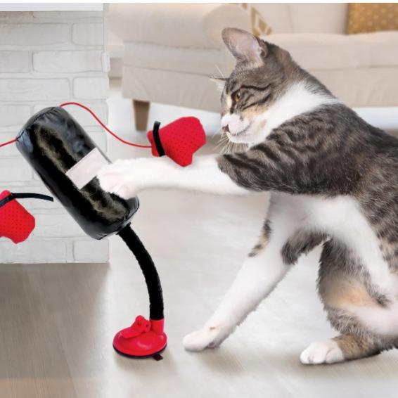 猫用 玩具 セット 猫・軌 拳撃 ゲーム 多機能 遊戯 シリコン 素材 軽量 耐久性 室内 遊び 道具 ペット グッズ 柔軟 安全 インタラクティブ 玩具