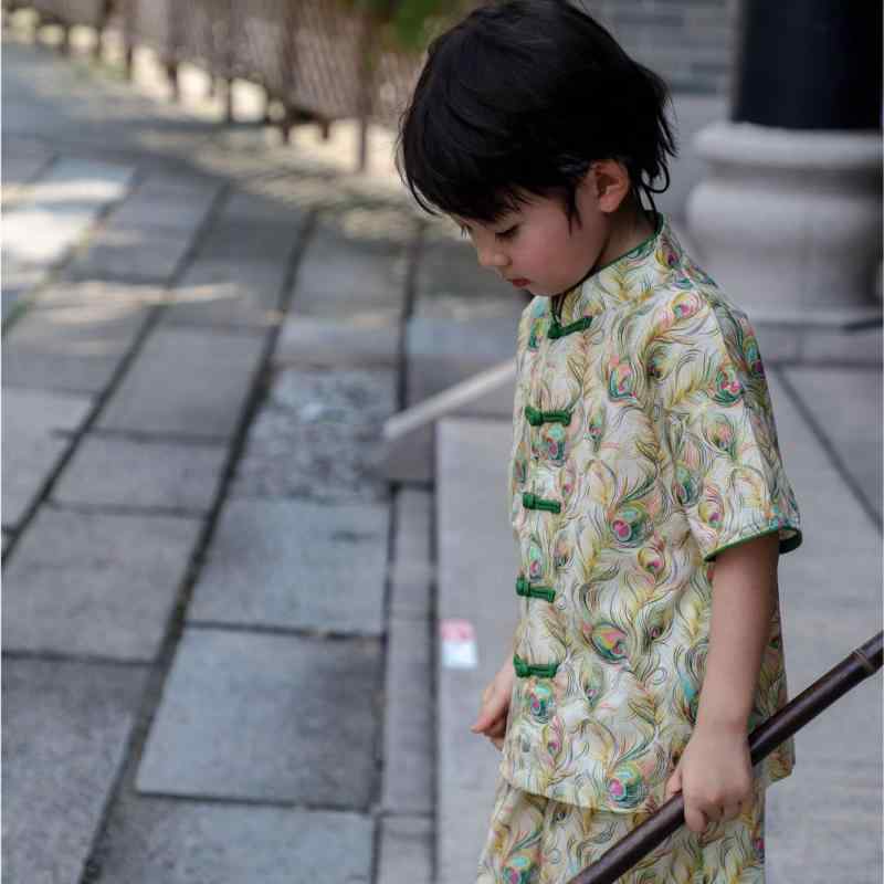 男の子 中式 唐装 セットアップ 短袖 トップス 綿 素材 柔軟 加工 印花 デザイン 夏 服 羽毛 模様 3-8歳 100-140cm 6,277円