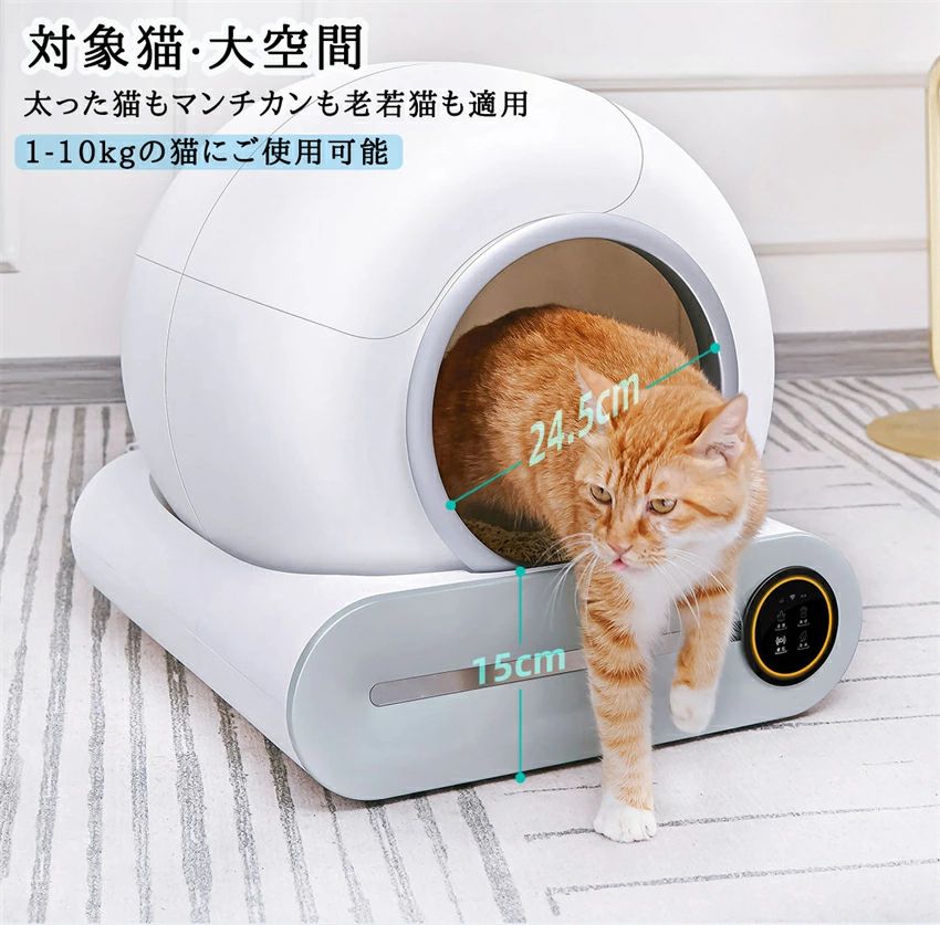 膜鳴楽器
