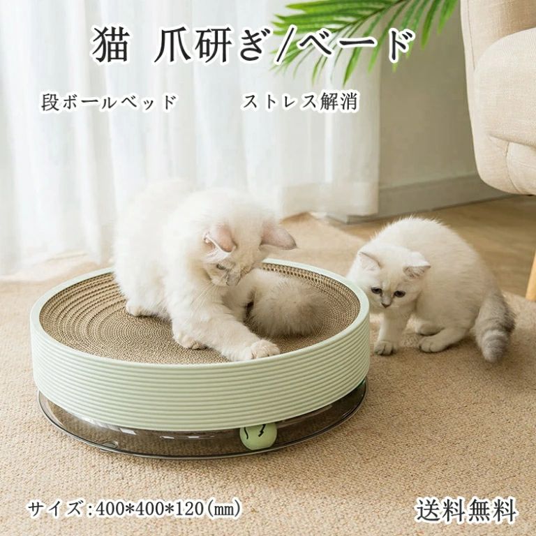 猫 段ボール臥榻 臥榻 手あそび