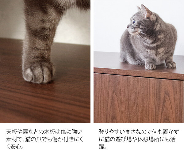 キャットトイレ トイレクローゼット トイレ隠し 猫 トイレ カバー リビング 安心 清潔 収納 猫トイレクローゼット Galetta ガレッタ Cr 1010r septicin Com