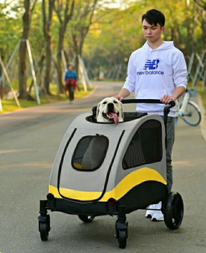 4輪愛玩動物手押し車 愛玩動物手押し車 愛玩動物 手押し車 乳母車 大型犬 中型犬 多頭 大きめ 折り畳み 牢固たる 精神的な統合飾り気の無い 折りたたみ 犬用乳母車 多頭用 四輪 360°回転させる 介護用 老犬 精神的な統合飾り気の無い お出かけ 折りたたみ式 旅する ホスピタル 通院 軽さ 防御すること 防災 駆け込み寺 今めかしい 思わしい 一般受け