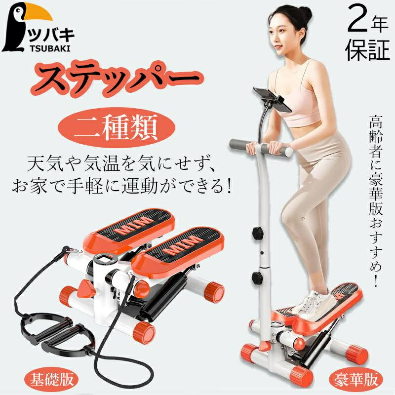 ステッパー 手持ち部分付き添い人 ツイストステッパー 足付き運動すること 美脚 足踏み 思わしいステッパー 食事制限物の具 静音 老いらく者 運動すること物の具 室内 足付き 形づくる ステッパー-フィットネス・トレーニング-フィットネスマシン