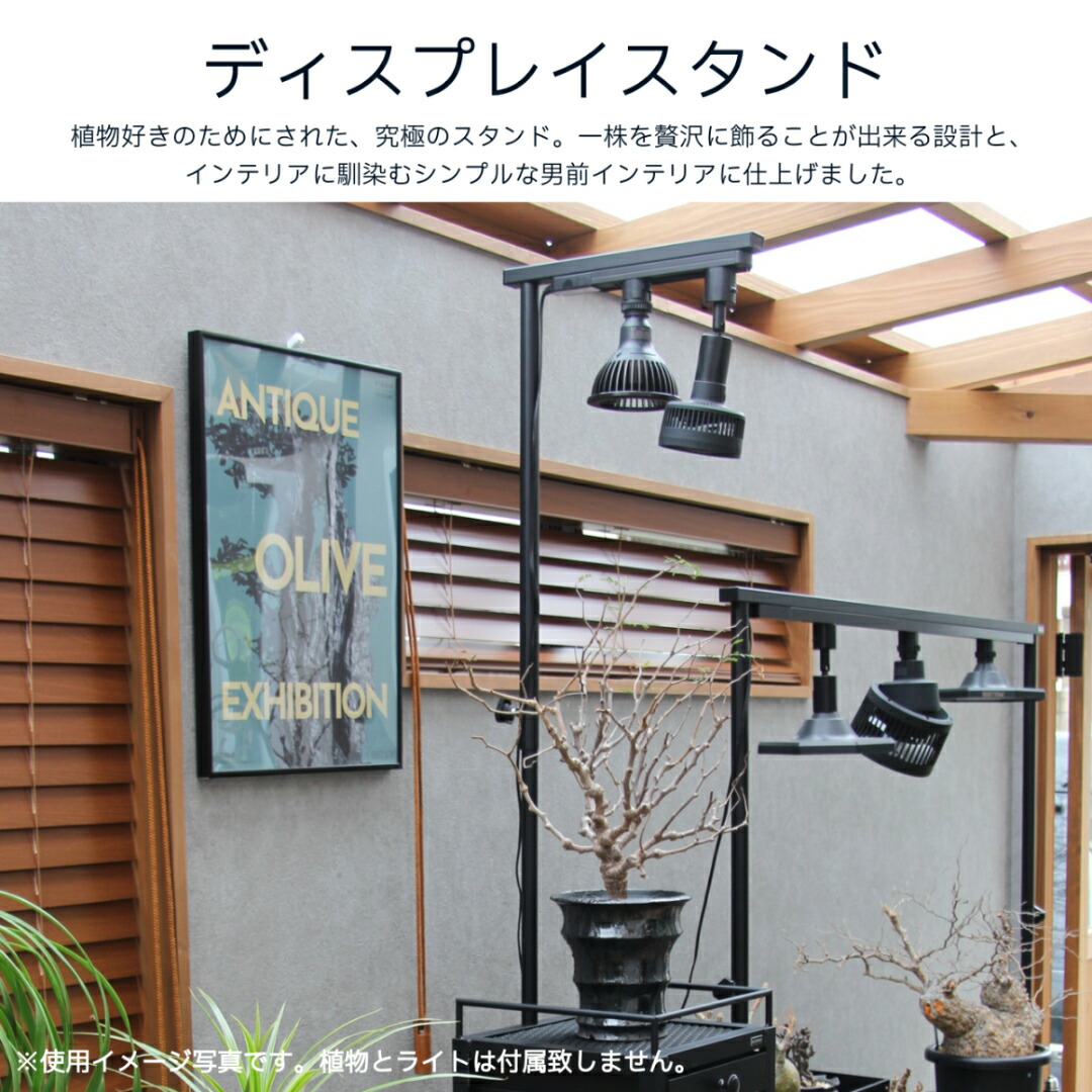 楽天市場】水受けトレー付植物棚 ガベラック 植物棚 アガベ 塊根