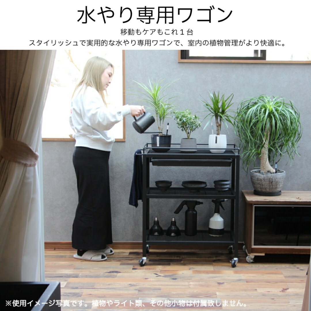 楽天市場】10/7以降の発送予定 mini植物棚 植物棚 アガベ 塊根 楽天市場】10/7以降の発送予定 mini植物棚 植物棚 アガベ 塊根