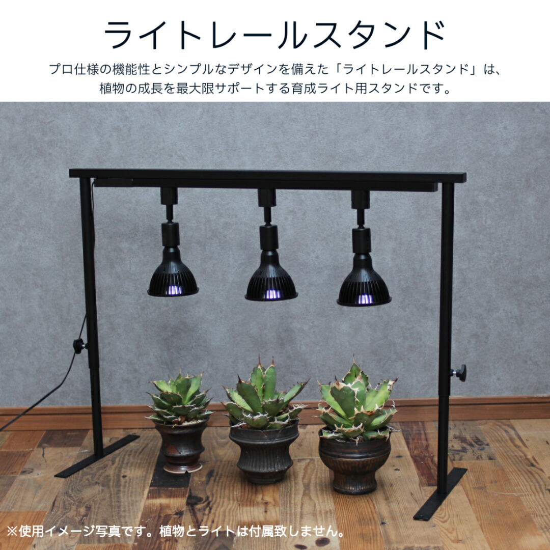楽天市場】水受けトレー付植物棚 ガベラック 植物棚 アガベ 塊根 楽天市場】水受けトレー付植物棚 ガベラック 植物棚 アガベ 塊根