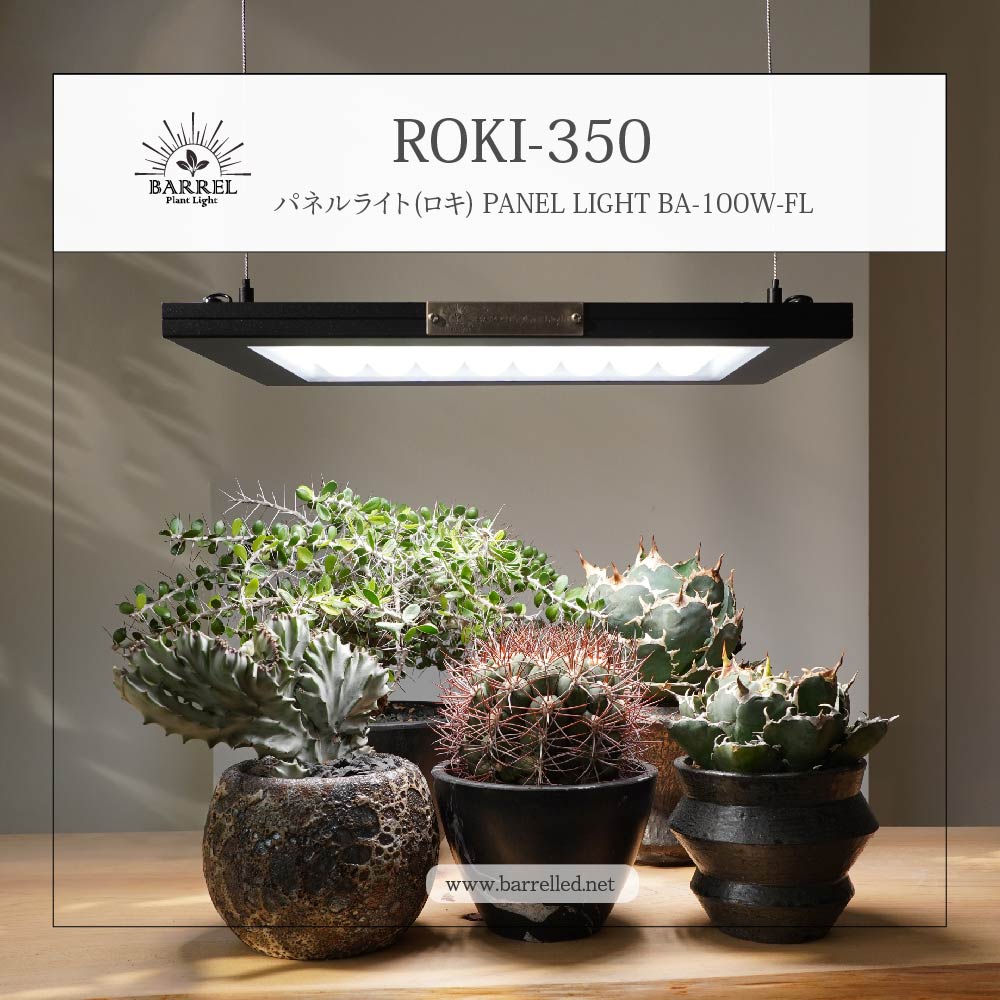 ☆送料込み☆ライトレールスタンド即購入OK 植物育成 アガベ