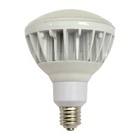日動工業(NICHIDO)エコビック投光器用LED球のみ昼白色L40V2-J110-50K 照明 投光器 作業灯 LED投光器 2021