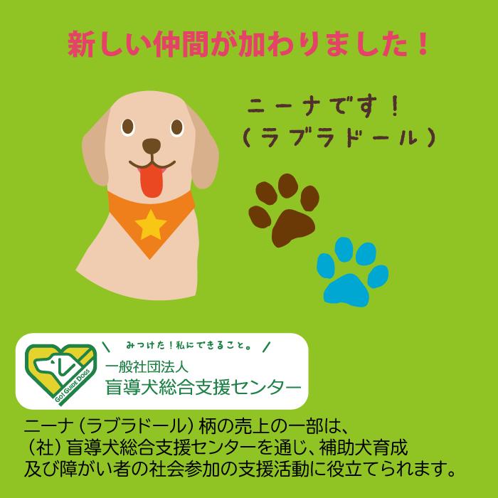 新作ラブラドール登場