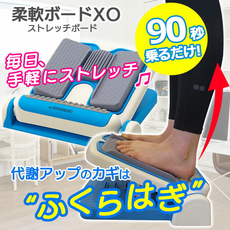 楽天市場】ヒットバッグ フラットタイプ タックルダミー コンタクト